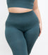 Curve Ultimate High Waisted Seamless Leggings - Teal Blue